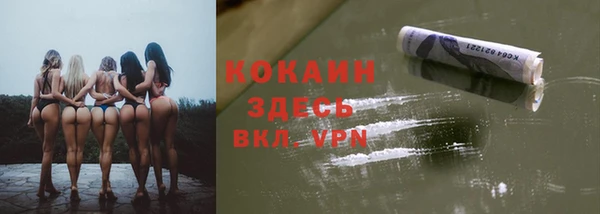 гидра Липки