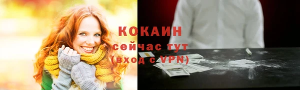 гидра Липки