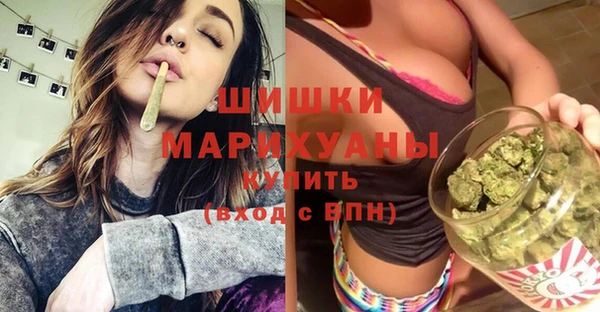 гидра Липки