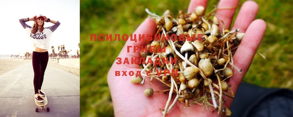 гидра Липки