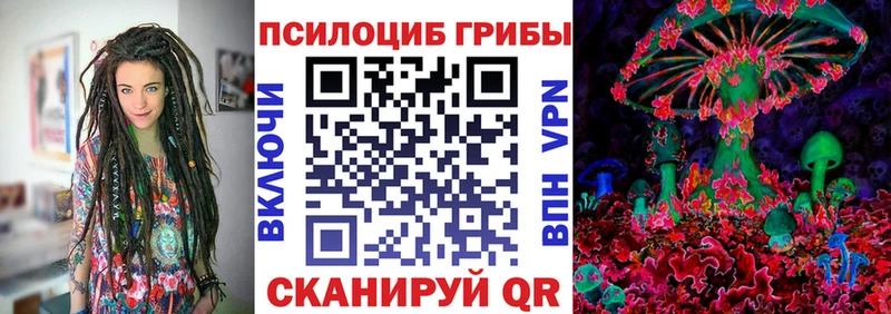 Псилоцибиновые грибы мухоморы  blacksprut зеркало  Таганрог  хочу наркоту 